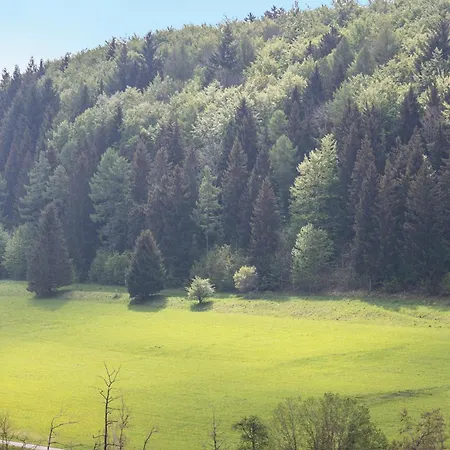 Wacholderheide *