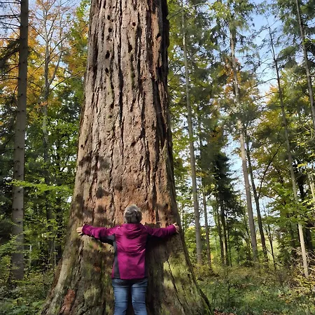 Wacholderheide Appartamento Albstadt